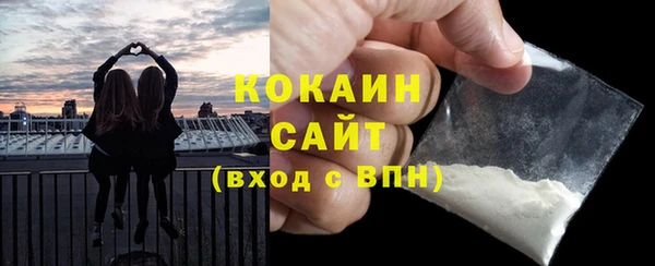 твердый Пересвет