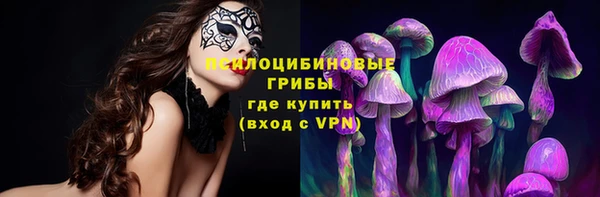 прущие грибы Осташков