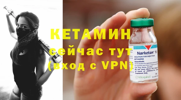 твердый Пересвет