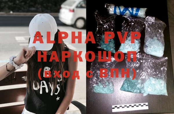 прущие грибы Осташков