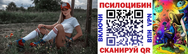 Галлюциногенные грибы Psilocybine cubensis  Мамадыш 