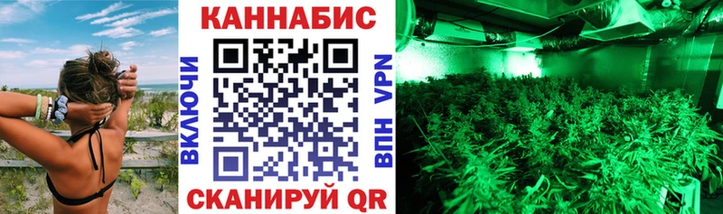 МАРИХУАНА OG Kush Мамадыш